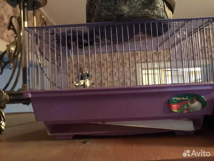 Клетка для хомяка бу