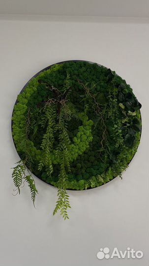 Панно и картины из стабилизированного мха