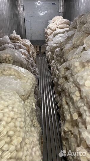 Замороженная продукция питания оптом