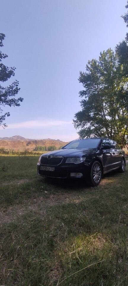 Skoda Superb: фото владельца