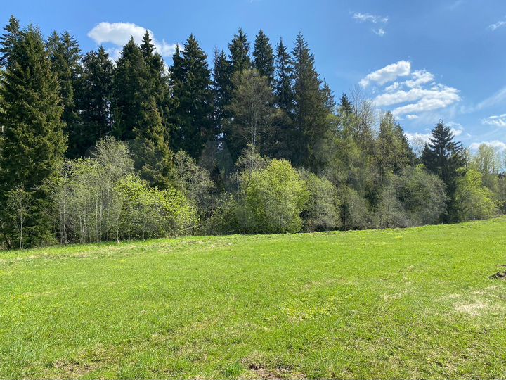 Участок 8 сот. (ИЖС)