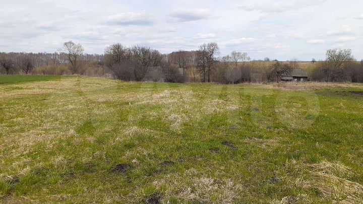 Участок 42 сот. (ИЖС)