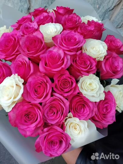 Роза эквадор по акции томск