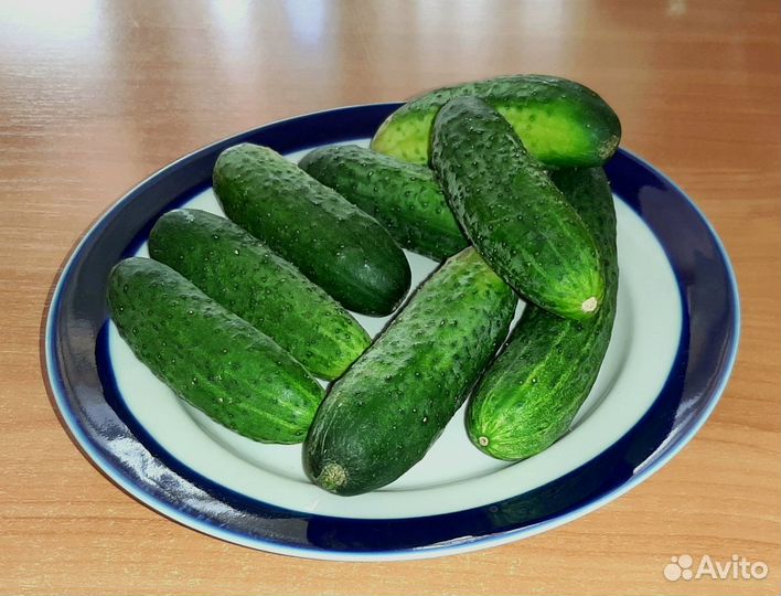 Огурцы домашние