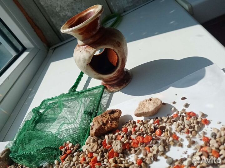 Рыбка петушок