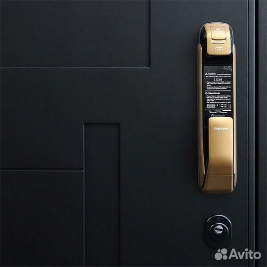 Входная дверь с электроным замком Black