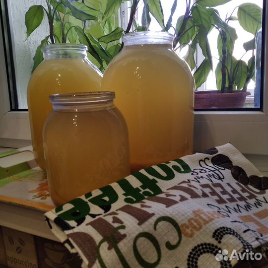 Натуральный домашний яблочный уксус