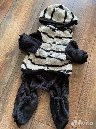 Одежда для собак