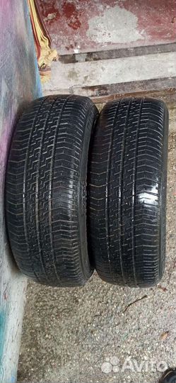 Pirelli WS-2 205/60 R15