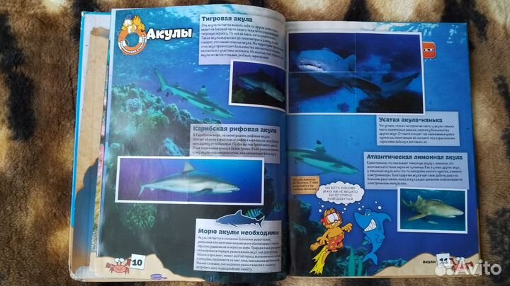 Альбомы и наклейки Океаномания Стикермания spar