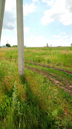 Участок 12 сот. (ИЖС)