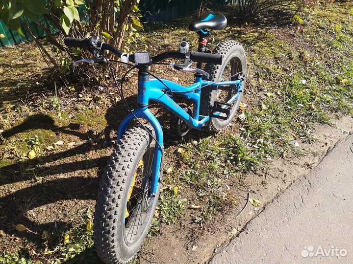 FAT-bike stels