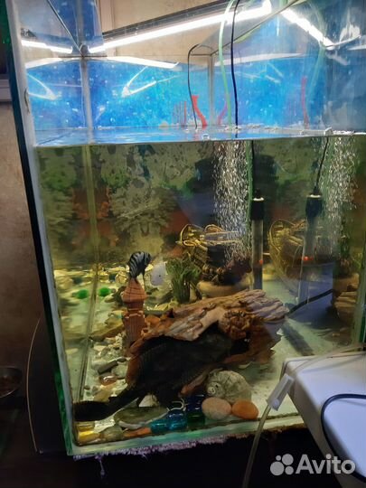 Аквариум с тумбой