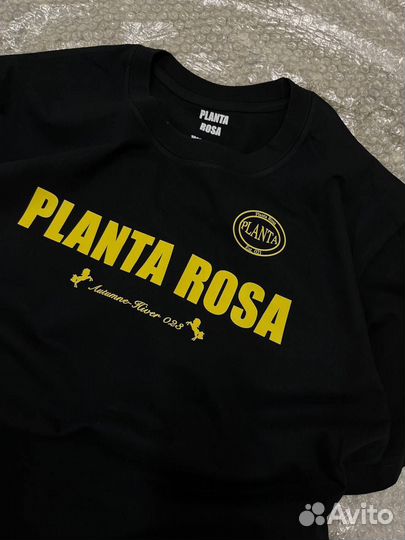 Planta rosa футболка