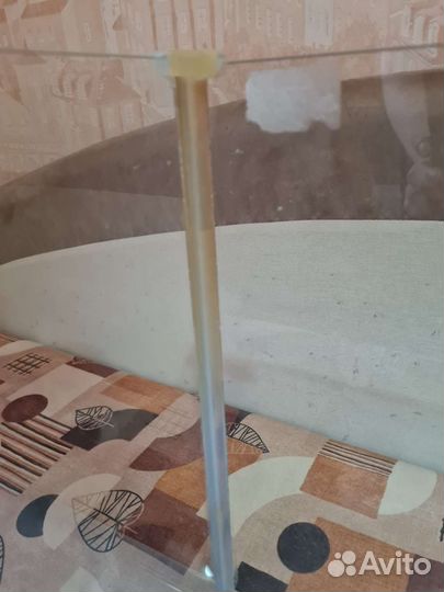 Палюдариум jebo