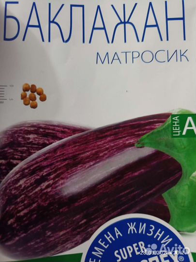 Рассада баклажан