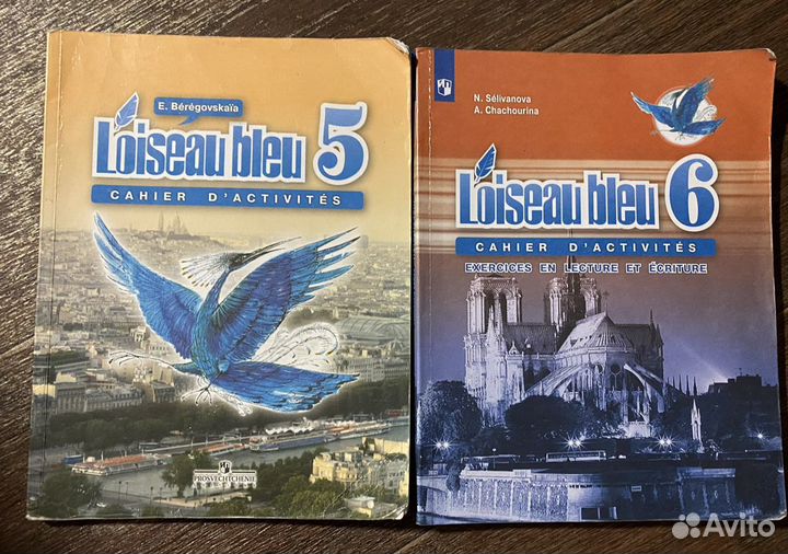 Рабочая тетрадь Синяя птица 5 и 6 класс
