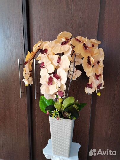 Композиция Орхидея