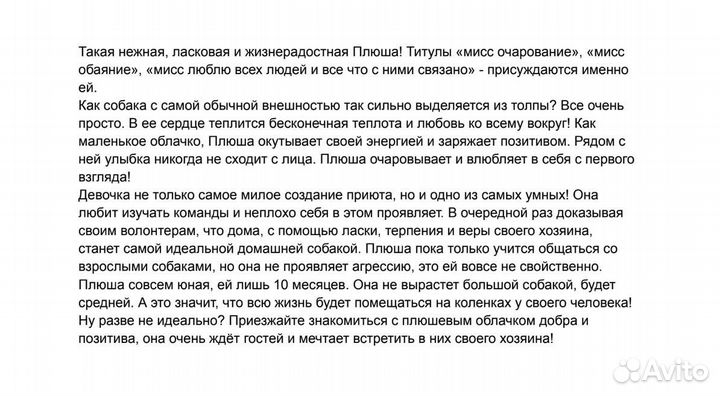 Собака в добрые руки