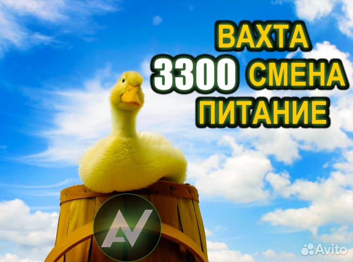 Вахта 15 смен Упаковщик\ца Ростов питание\жильё