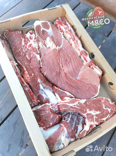 Мясо говядина