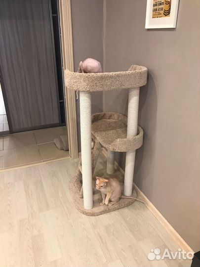 Игровой комплекс с когтеточкой 