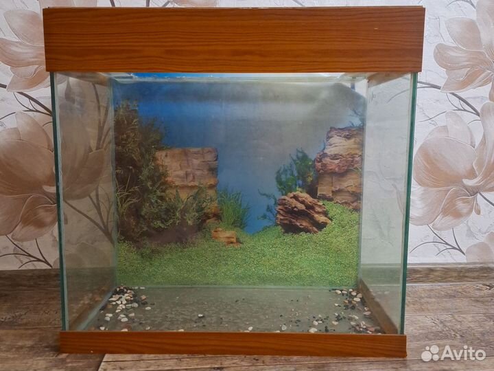 Аквариум