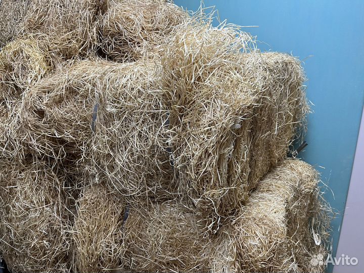 Древесная стружка, отдам бесплатно