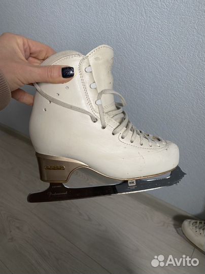 Коньки edea chorus 230