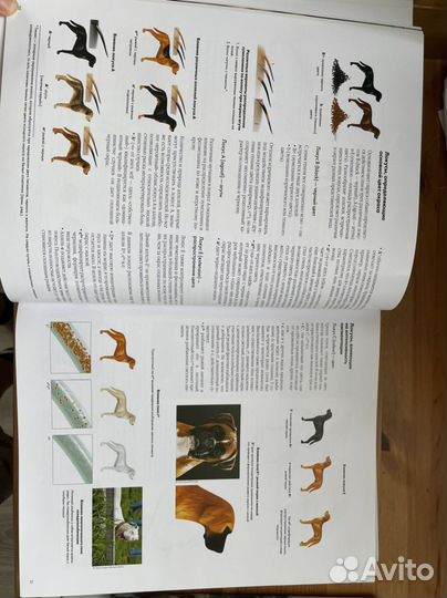 Энциклопеция Собаки