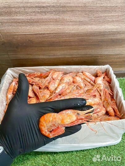 Креветка Ботан