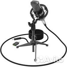 Микрофон Ritmix rdm-160