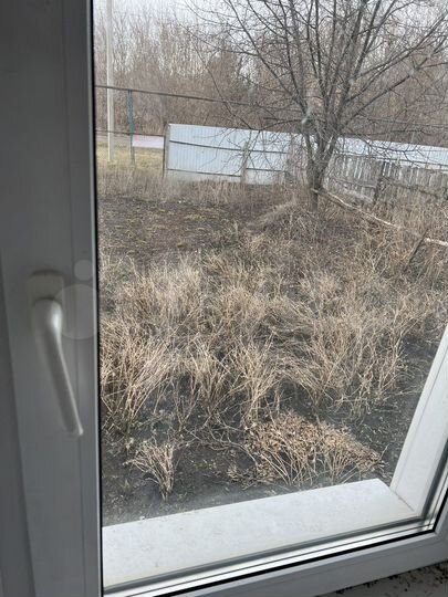 Дом 41,8 м² на участке 38 сот.