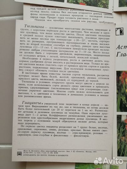 Набор открыток из СССР растения