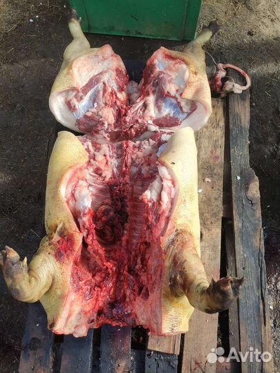 Сало домашнее