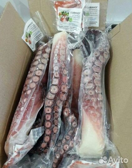 Осьминог очищенный целый