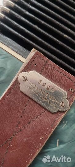 Гармонь беларусь и баян Молодечно