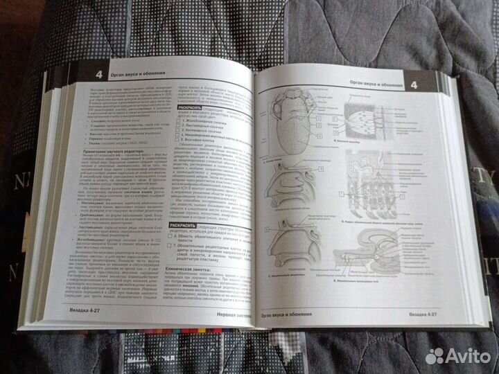 Анатомия Неттера Атлас-Раскраска 2-е издание