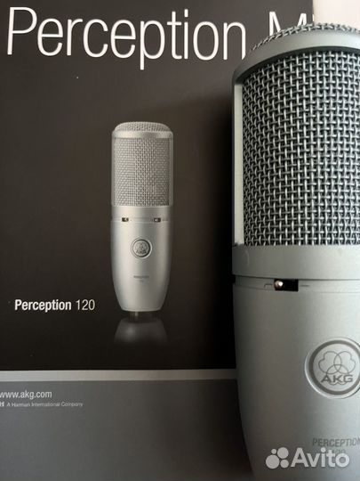 Akg perception 120