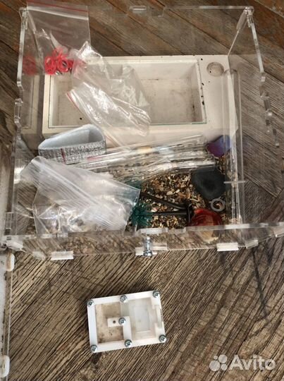 Муравьиная ферма для муравьев