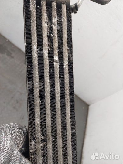 Радиатор масляный Audi Q7, 2007