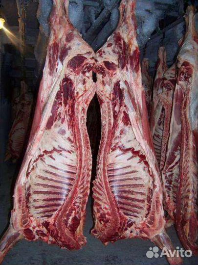 Домашнее мясо