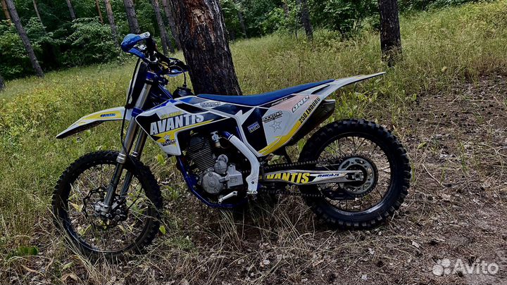 Avantis 250 pro