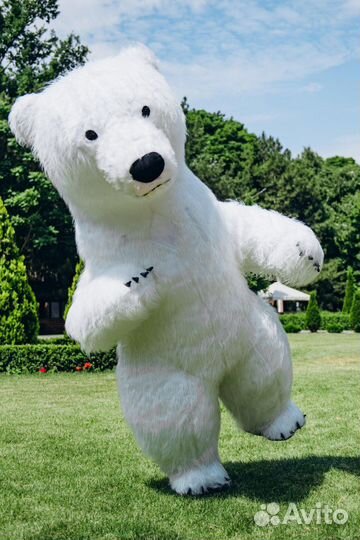 Белый медведь/Аниматоры/Панда