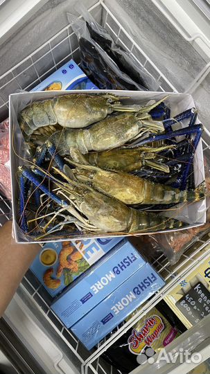 Живые раки / морепродукты