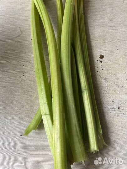 Стебли ревень