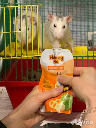 Клетка для грызунов