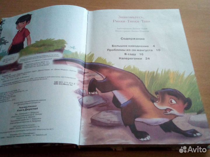 Книга джунглей