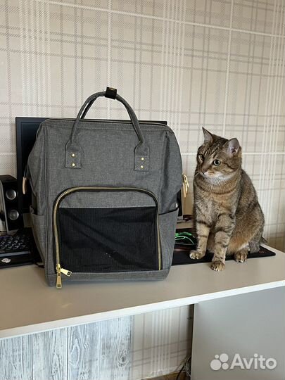 Рюкзак-переноска