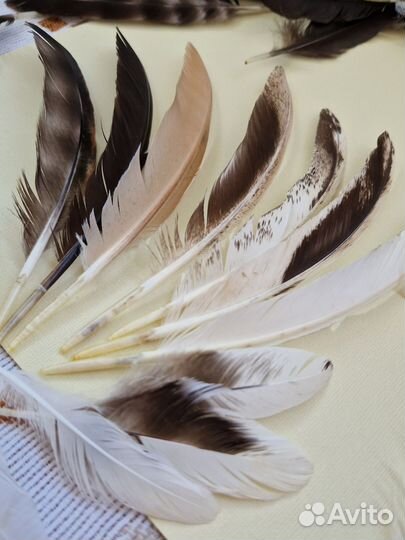Перья для творчества, декора и украшений